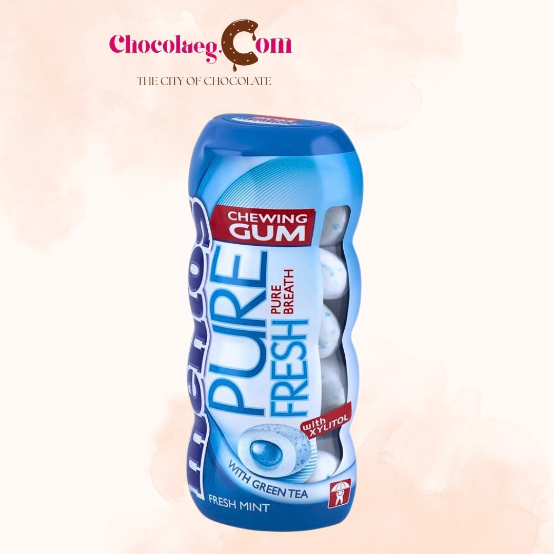 Mentos Pure Mint 30g