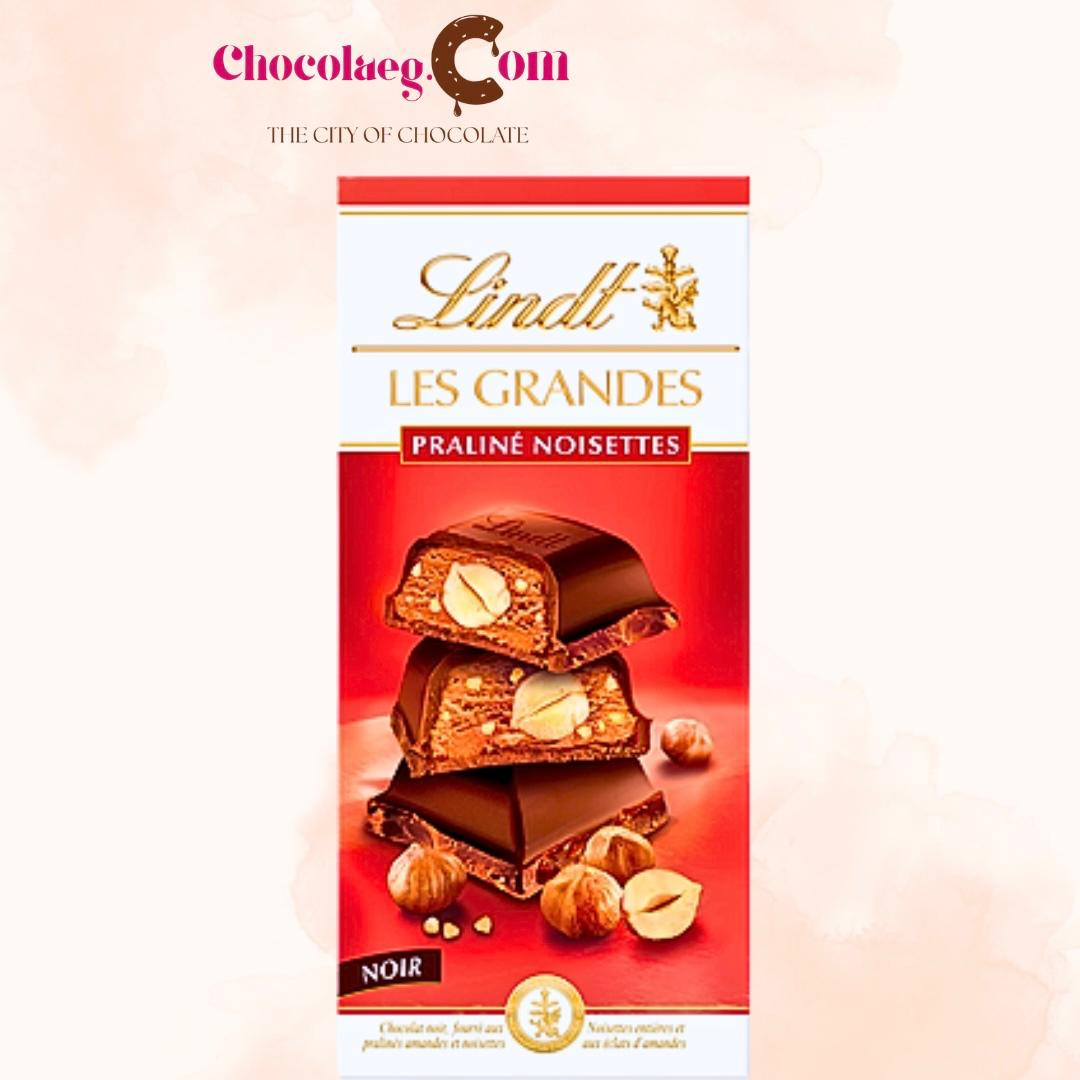 Lindt Les Grandes Dark Praline Noisettes 225g