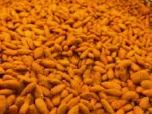 Crunchy Sunflower Kernel Ketchup