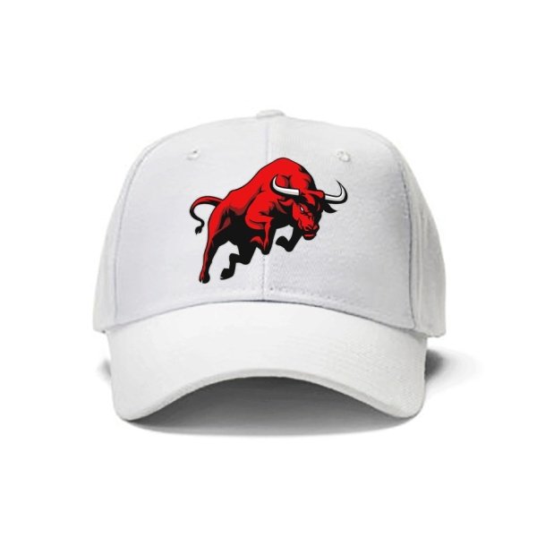 Cap Red Bull W1