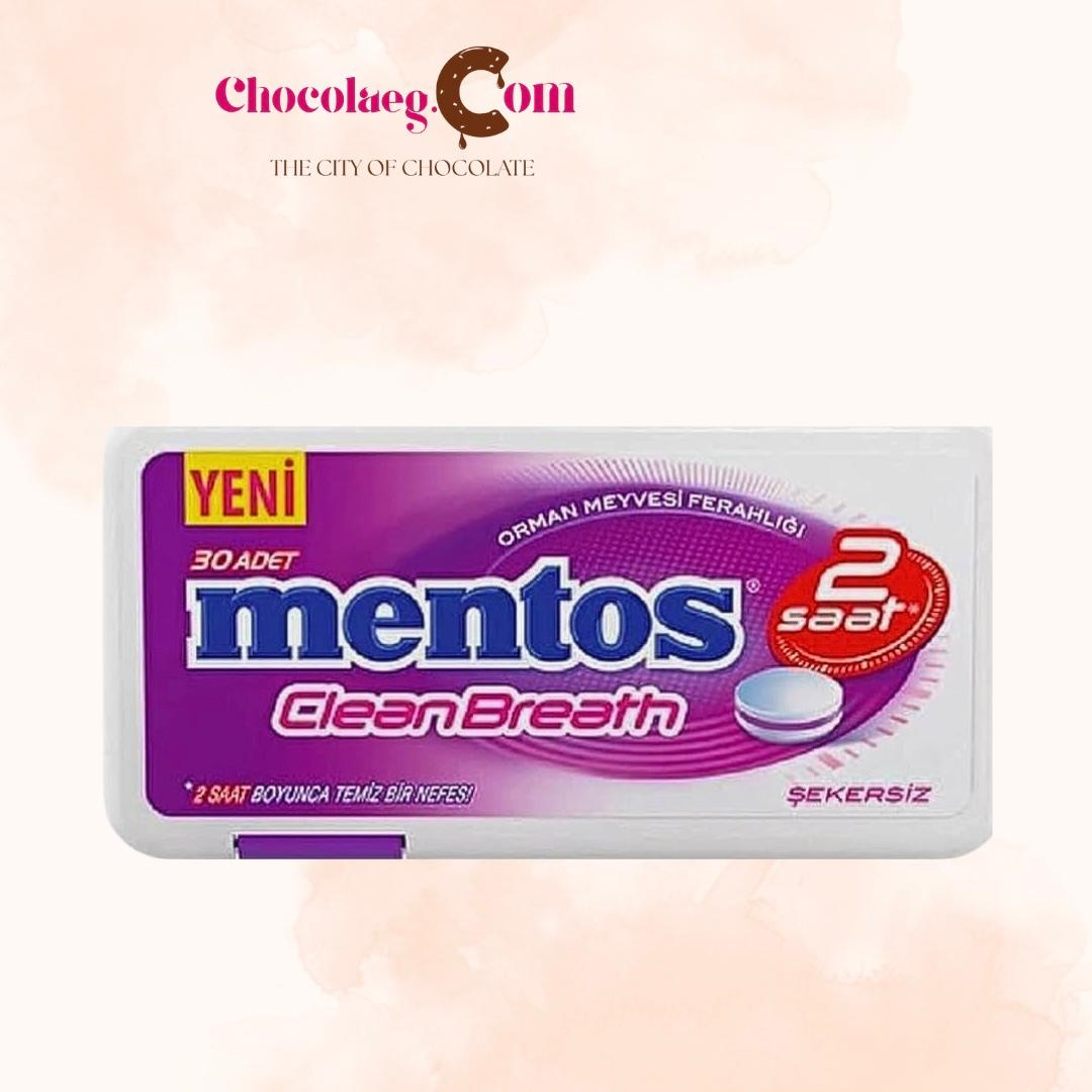 Mentos Clean Breath Forest 21g